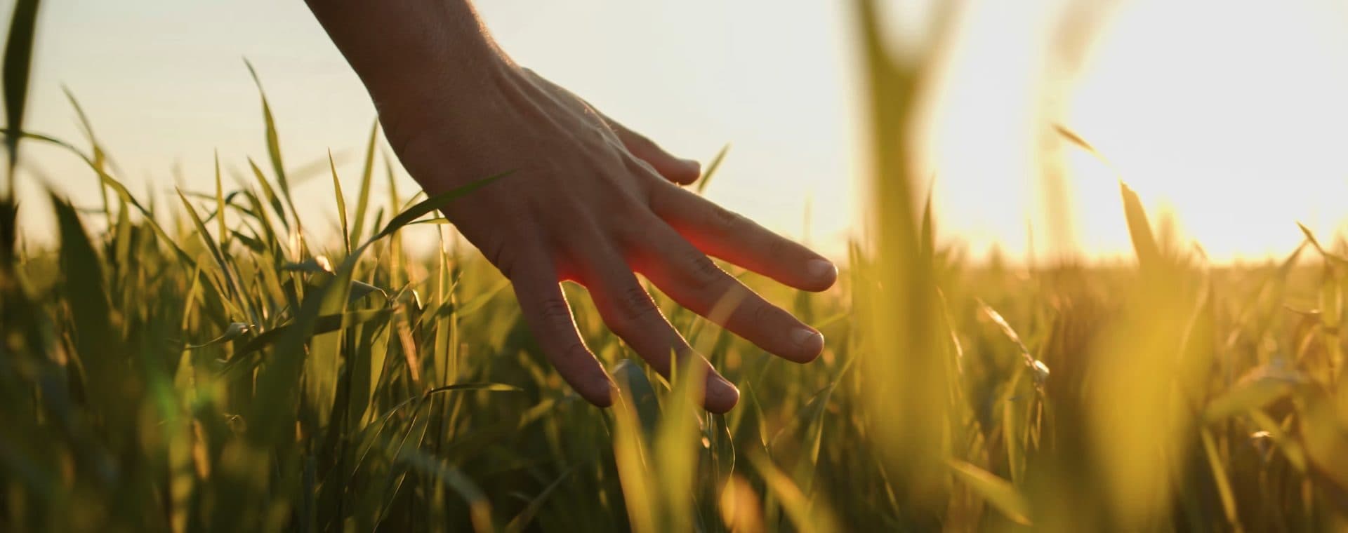 If any of this resonates—
you're in the right place